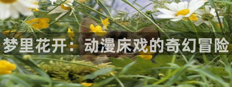 overflow全集樱花动漫：梦里花开：动漫床戏的奇幻冒险