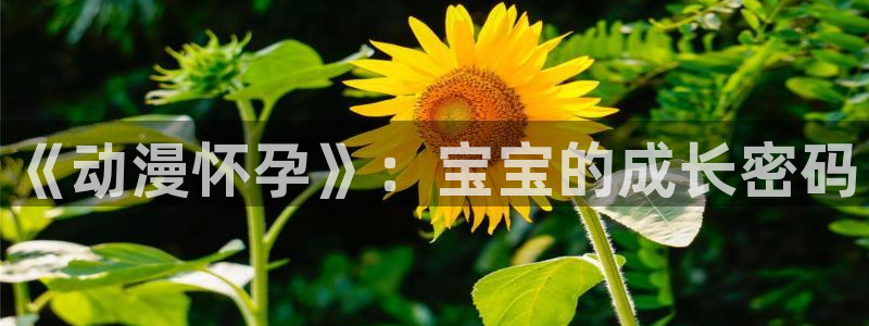 樱花动漫p高清：《动漫怀孕》：宝宝的成长密码